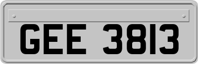 GEE3813