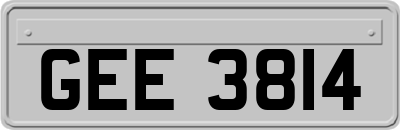 GEE3814
