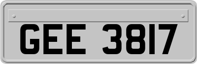 GEE3817