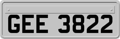 GEE3822