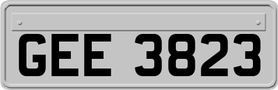 GEE3823