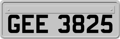GEE3825