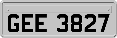 GEE3827