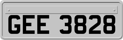 GEE3828