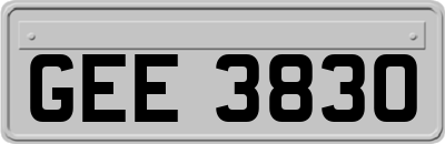 GEE3830