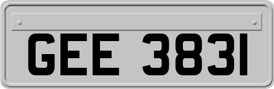 GEE3831