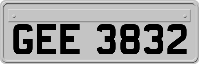 GEE3832