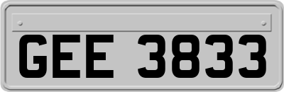 GEE3833