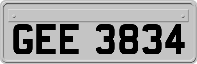 GEE3834