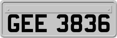 GEE3836