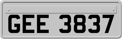 GEE3837