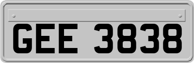 GEE3838
