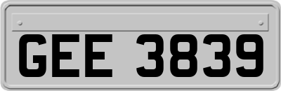 GEE3839