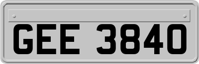 GEE3840