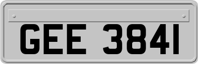 GEE3841