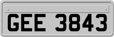GEE3843