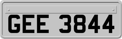 GEE3844