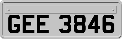 GEE3846