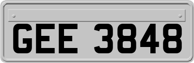GEE3848