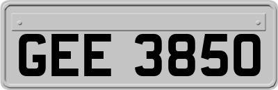 GEE3850