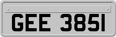 GEE3851