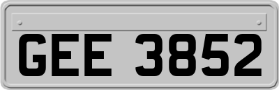 GEE3852