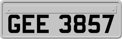 GEE3857