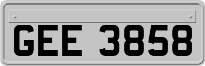 GEE3858