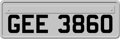 GEE3860