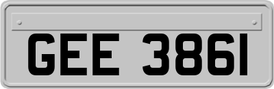 GEE3861