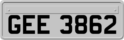 GEE3862