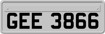 GEE3866