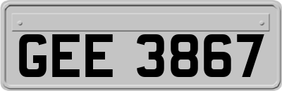 GEE3867