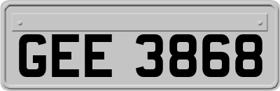 GEE3868