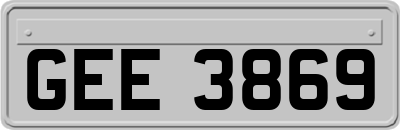 GEE3869
