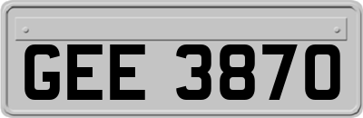 GEE3870