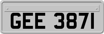 GEE3871