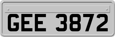 GEE3872