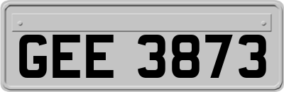 GEE3873