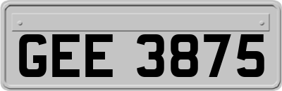 GEE3875