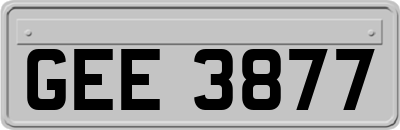 GEE3877