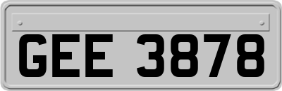 GEE3878