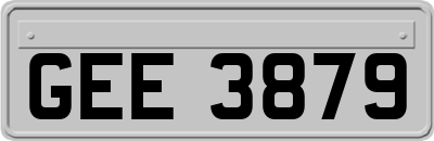 GEE3879