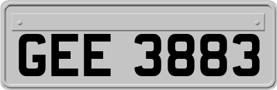 GEE3883