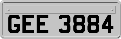 GEE3884
