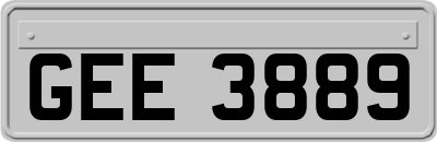 GEE3889