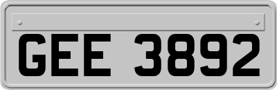 GEE3892