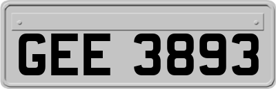 GEE3893