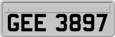 GEE3897