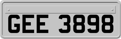 GEE3898